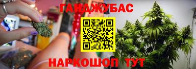 гашик Будённовск