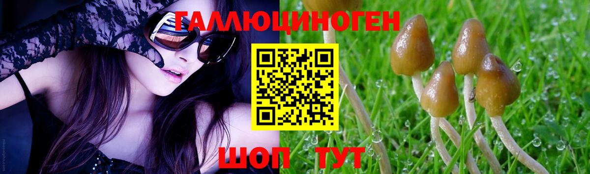 Магнитогорск  Канабис  Вход с VPN  Мефедрон кристаллы  ГАШИШ  Канабис  ГАШИШ 